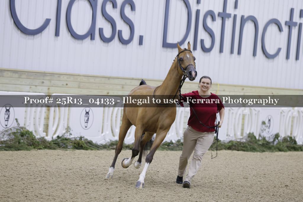 Proof Number 25R13_04133