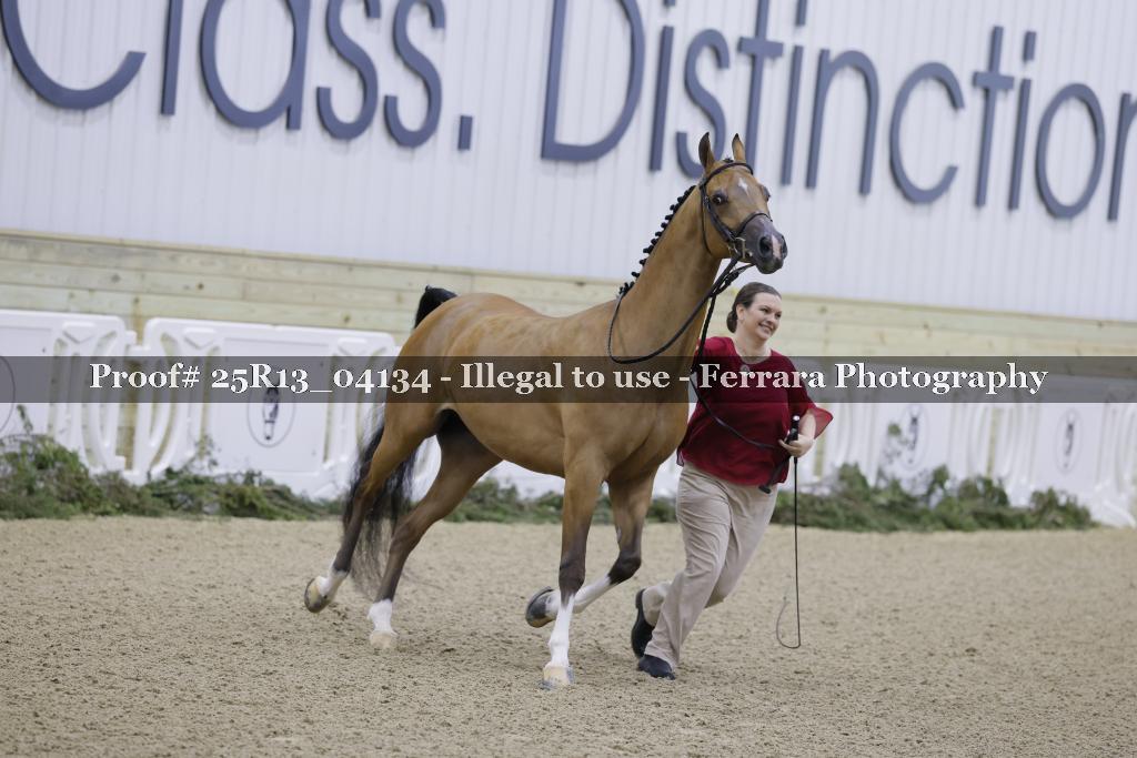 Proof Number 25R13_04134