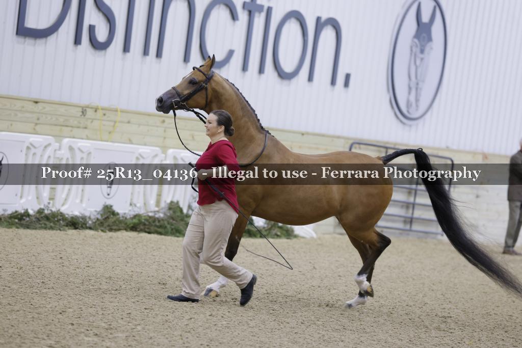 Proof Number 25R13_04136