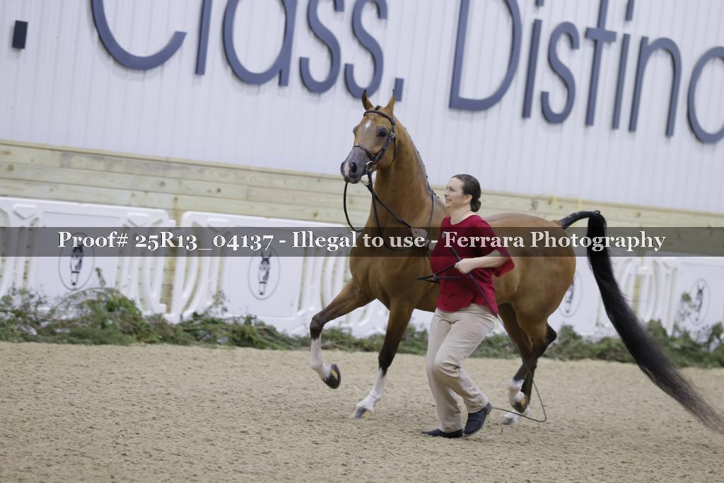 Proof Number 25R13_04137