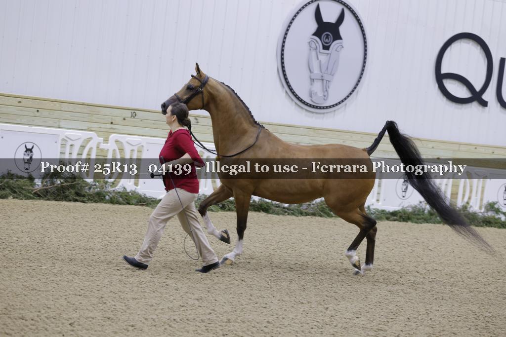 Proof Number 25R13_04139