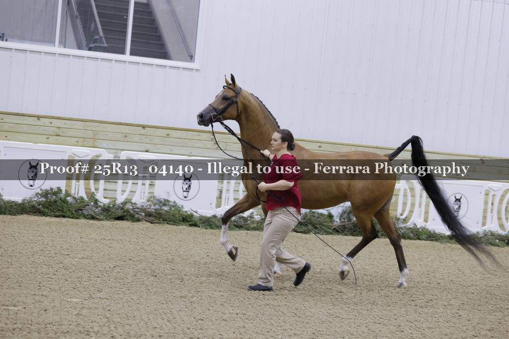 Proof Number 25R13_04140
