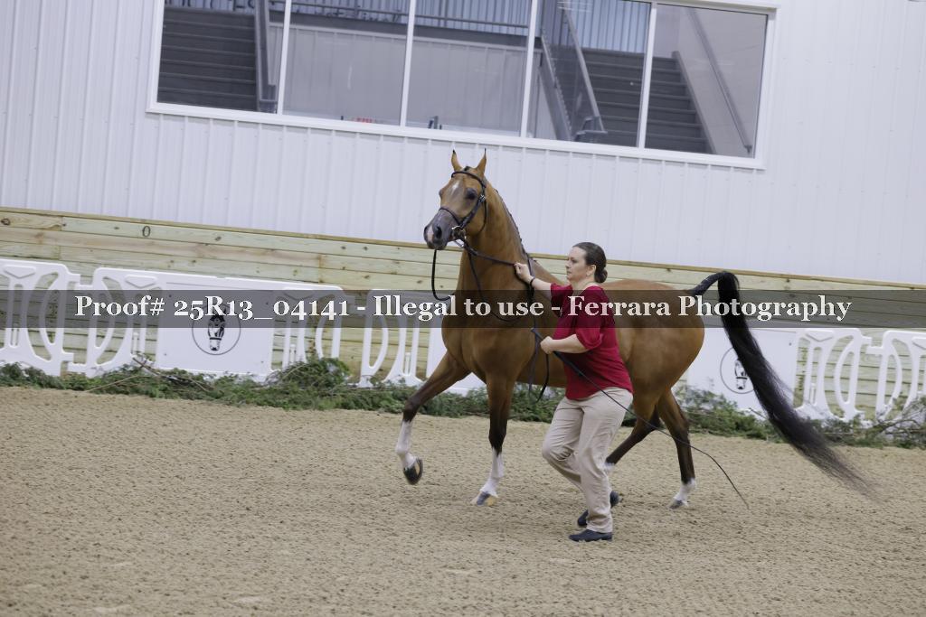 Proof Number 25R13_04141