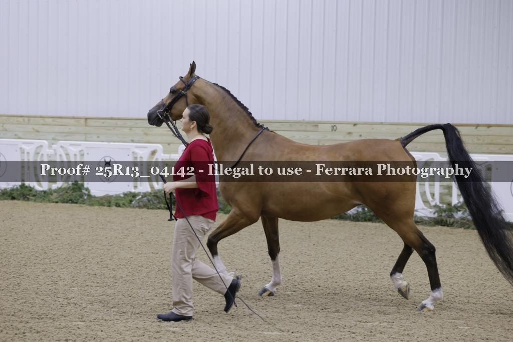 Proof Number 25R13_04142