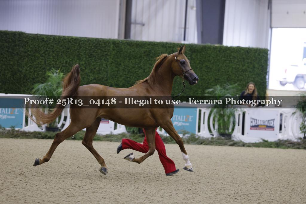 Proof Number 25R13_04148