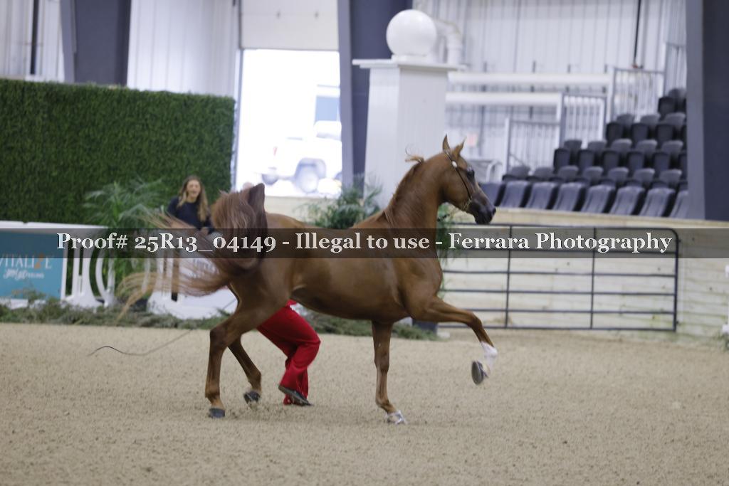 Proof Number 25R13_04149
