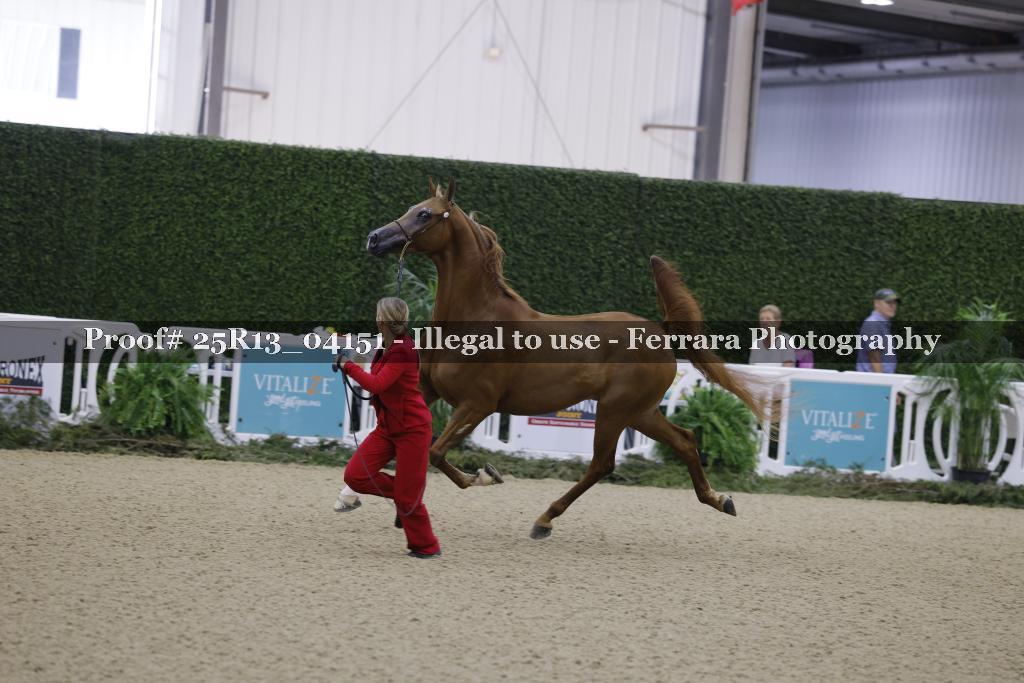 Proof Number 25R13_04151