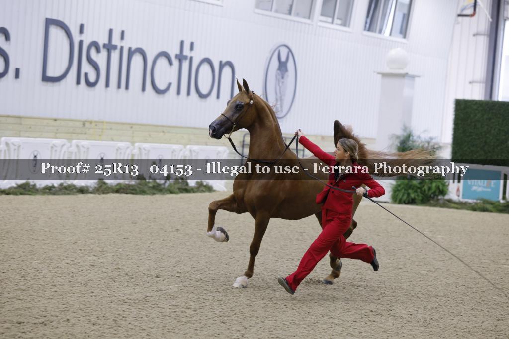 Proof Number 25R13_04153
