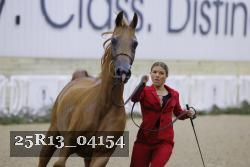 25R13_04154 thumbnail