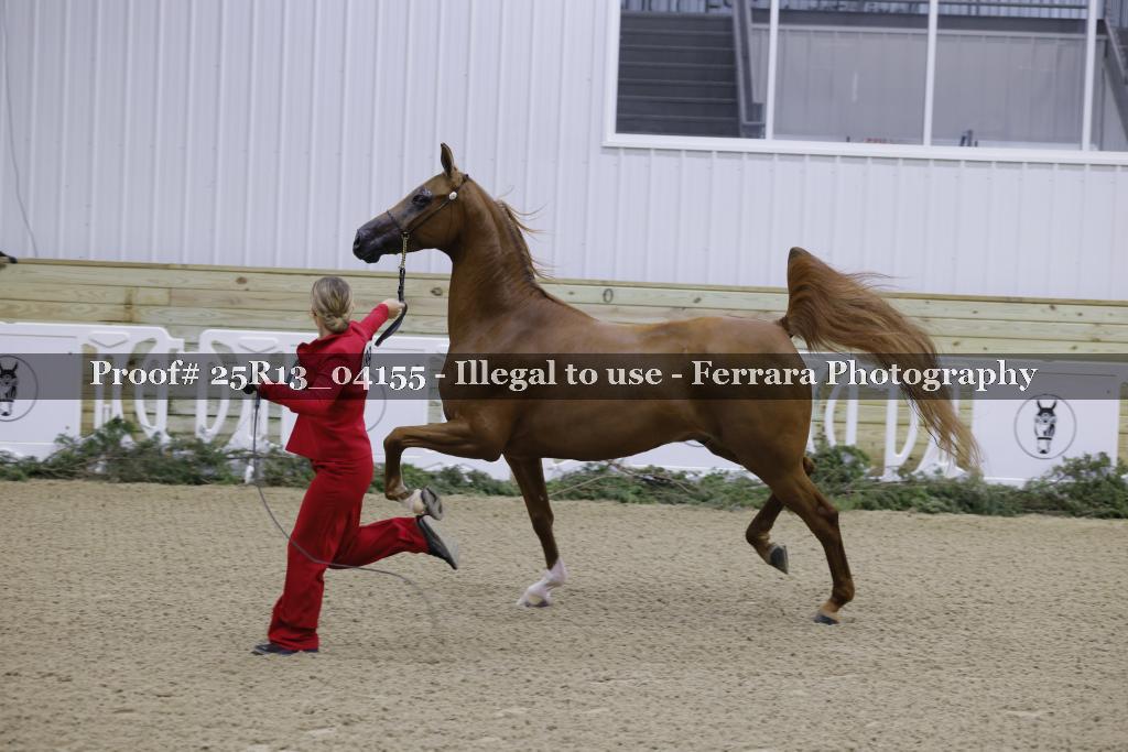 Proof Number 25R13_04155