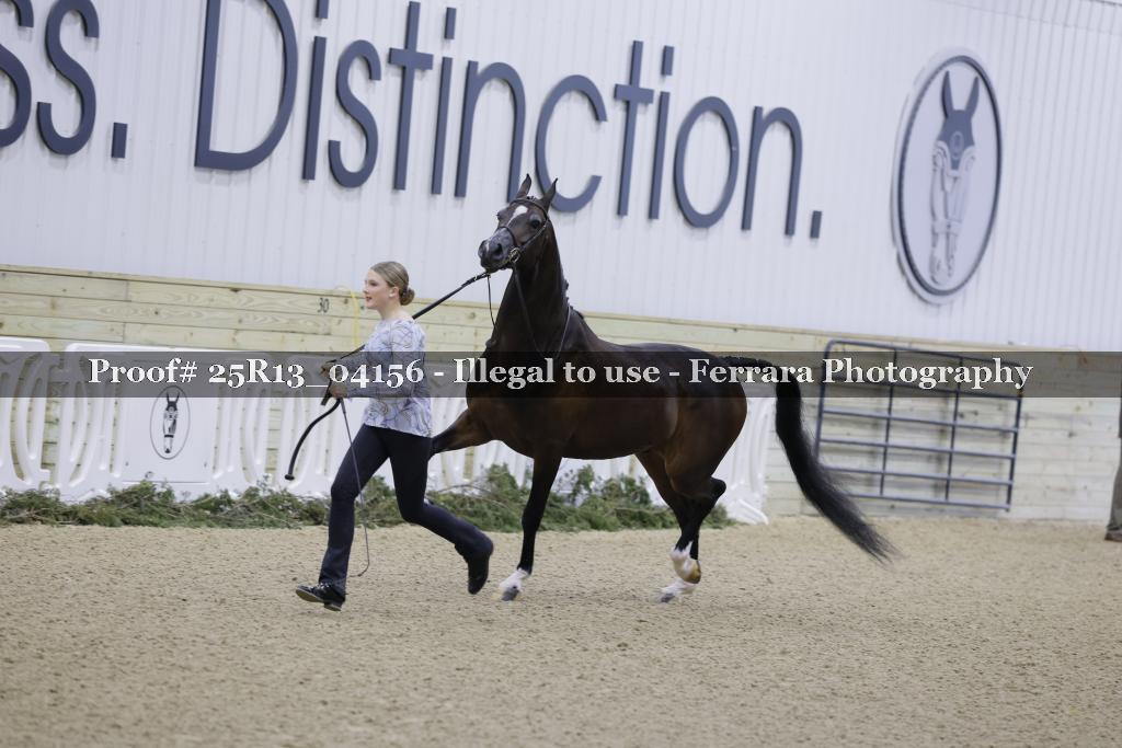 Proof Number 25R13_04156