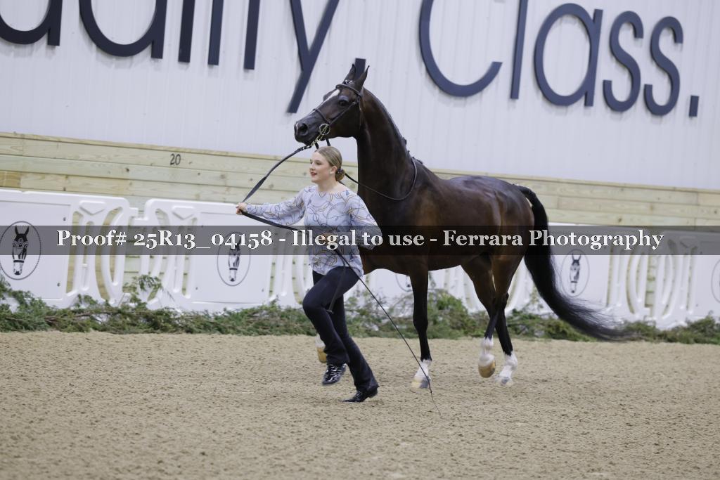 Proof Number 25R13_04158