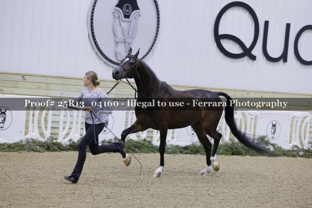 Proof Number 25R13_04160