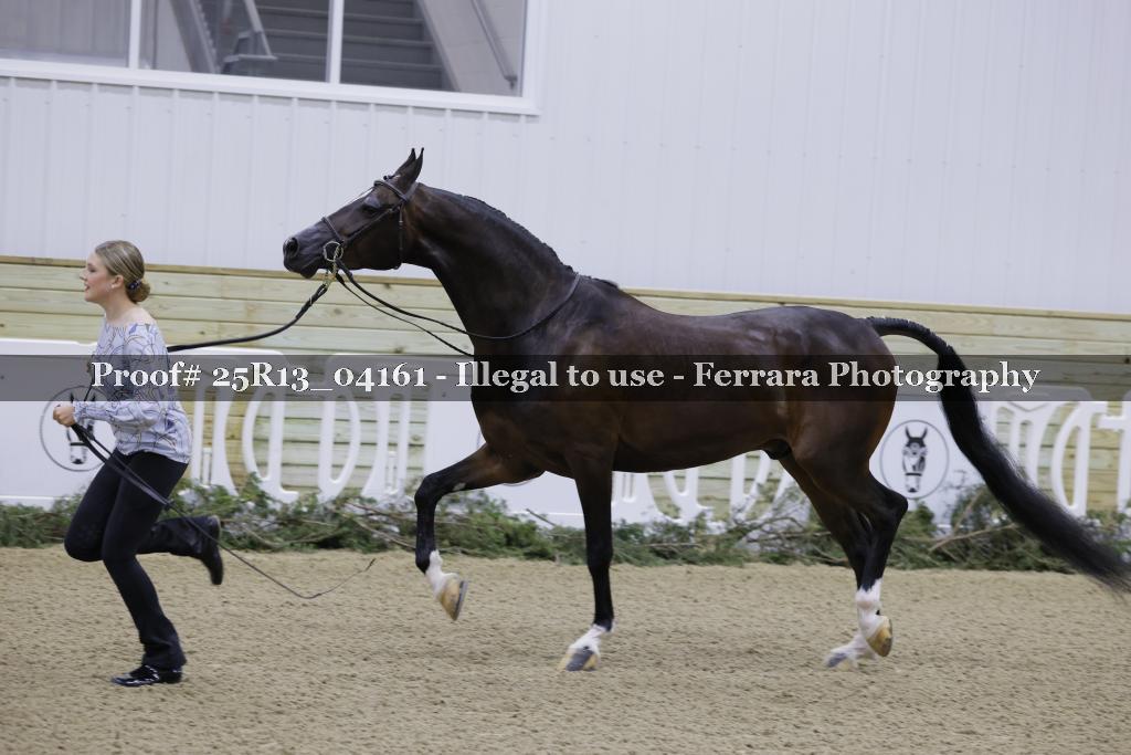 Proof Number 25R13_04161