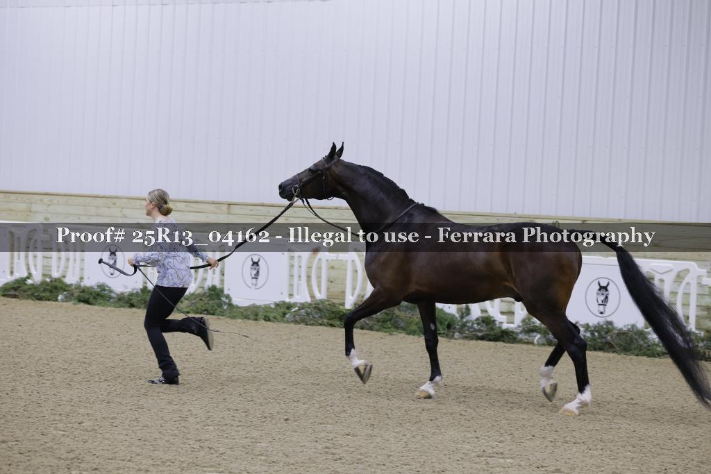 Proof Number 25R13_04162