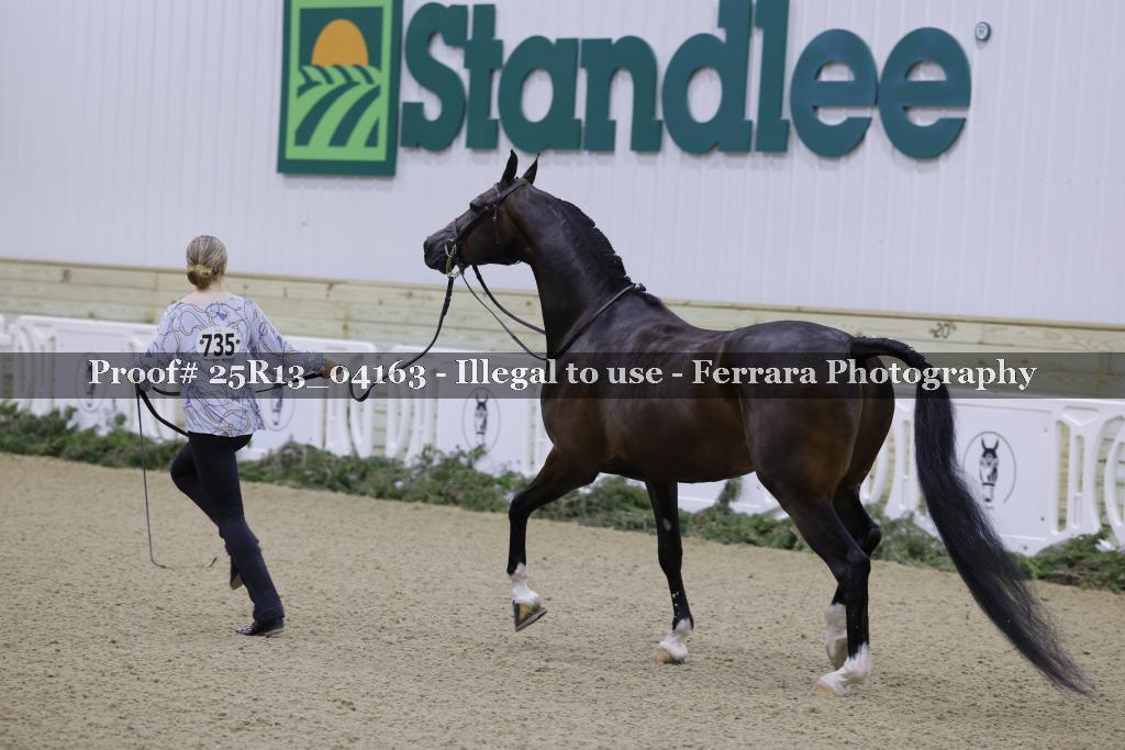 Proof Number 25R13_04163