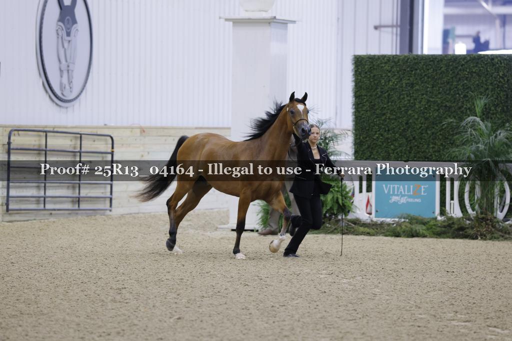 Proof Number 25R13_04164