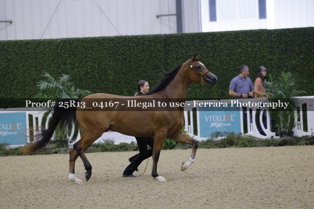 Proof Number 25R13_04167