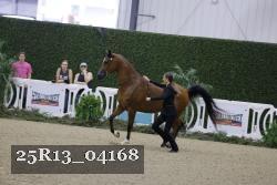 25R13_04168 thumbnail