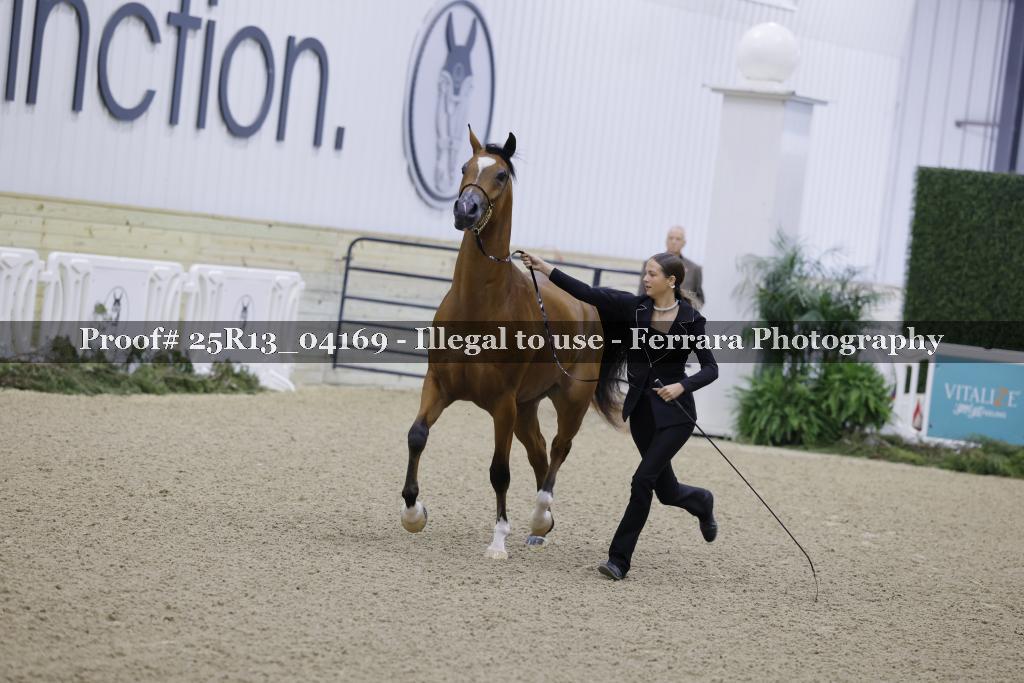 Proof Number 25R13_04169