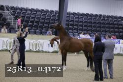 25R13_04172 thumbnail