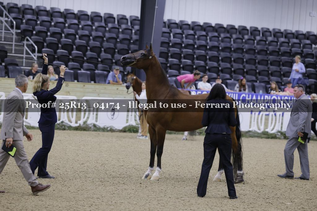 Proof Number 25R13_04174