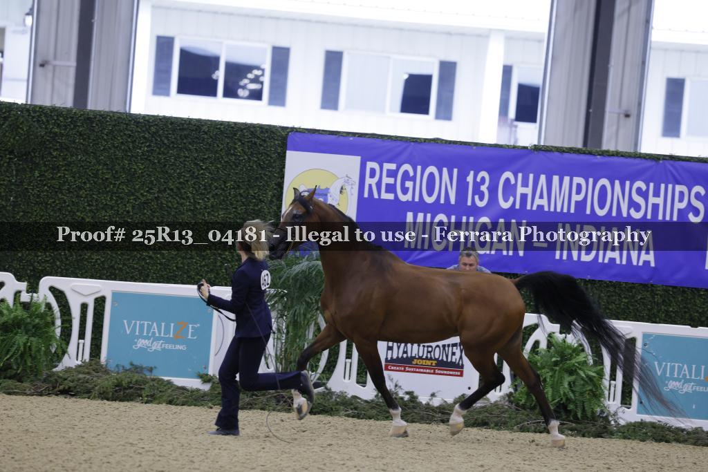 Proof Number 25R13_04181