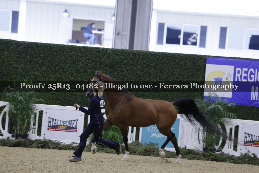 Proof Number 25R13_04182