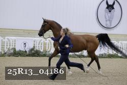 25R13_04186 thumbnail