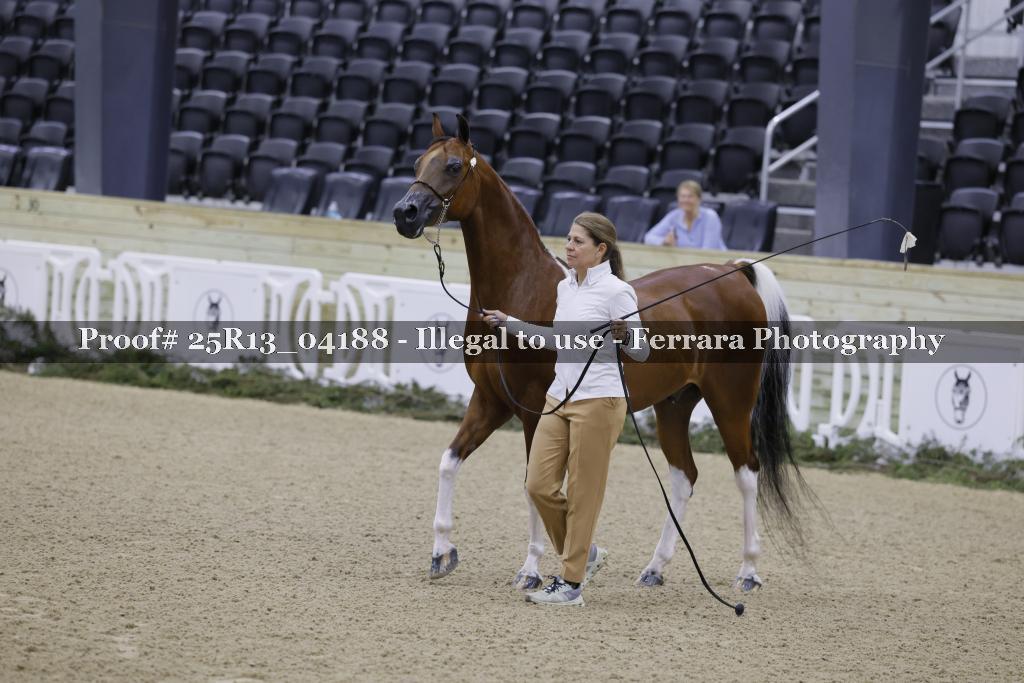 Proof Number 25R13_04188