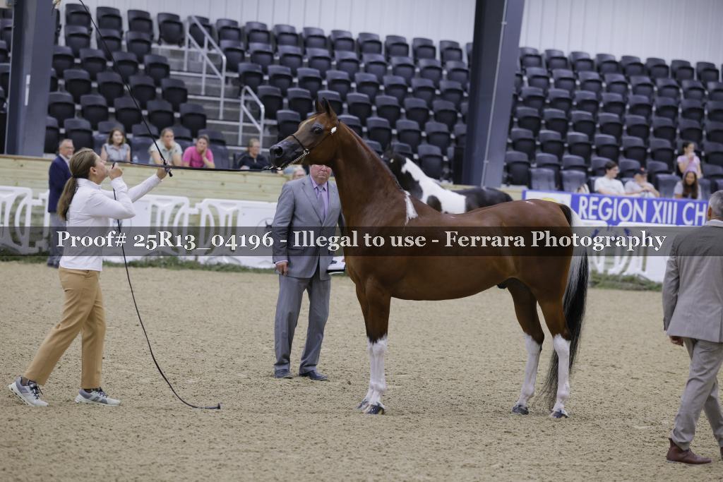 Proof Number 25R13_04196