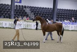 25R13_04199 thumbnail