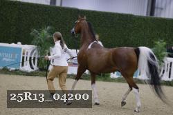 25R13_04200 thumbnail