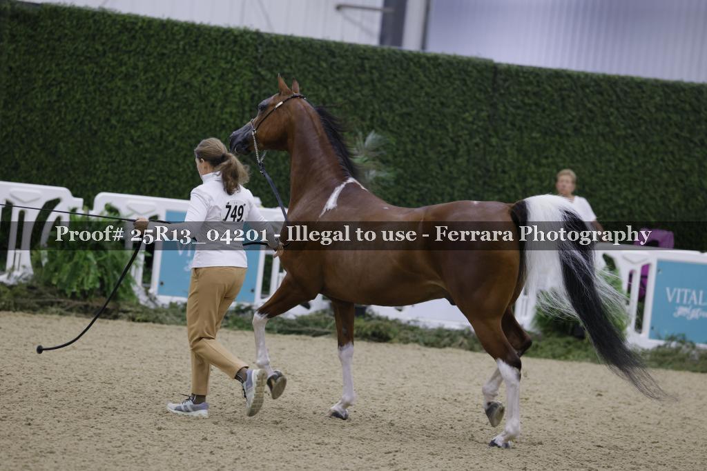 Proof Number 25R13_04201