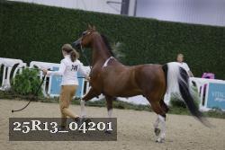 25R13_04201 thumbnail