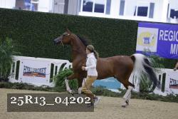 25R13_04202 thumbnail