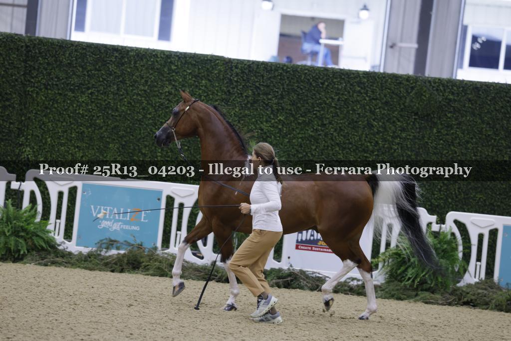 Proof Number 25R13_04203