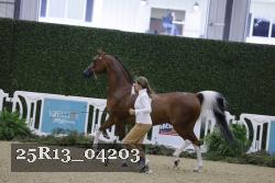 25R13_04203 thumbnail
