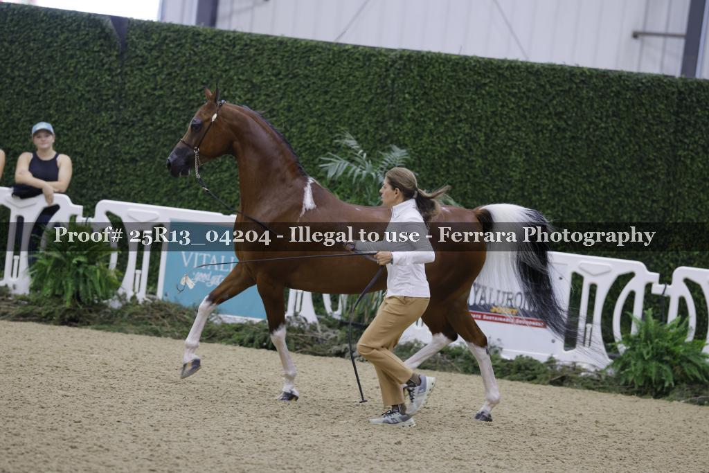 Proof Number 25R13_04204