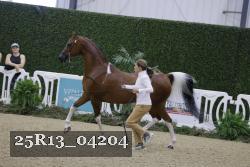 25R13_04204 thumbnail