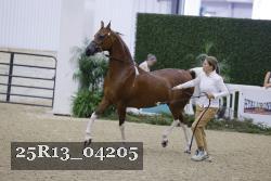 25R13_04205 thumbnail