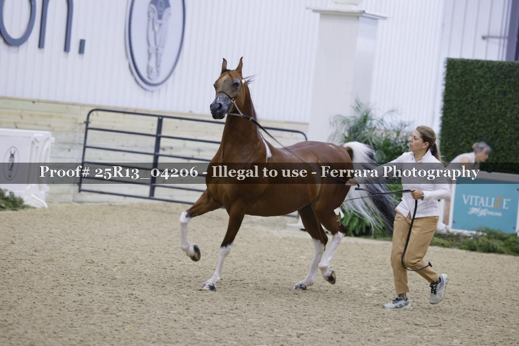 Proof Number 25R13_04206
