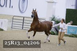25R13_04206 thumbnail