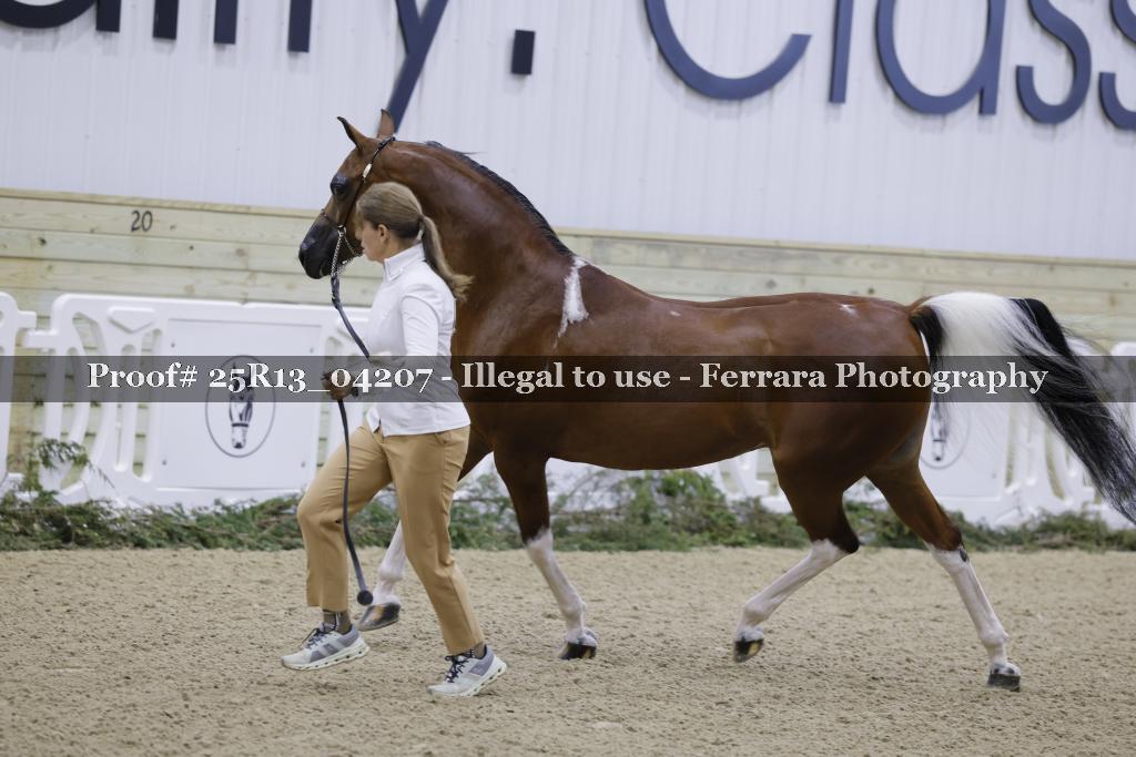 Proof Number 25R13_04207