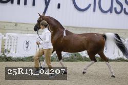 25R13_04207 thumbnail