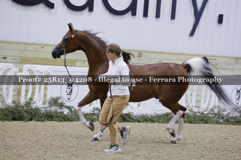 Proof Number 25R13_04208