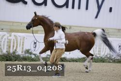 25R13_04208 thumbnail
