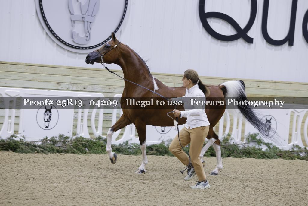 Proof Number 25R13_04209