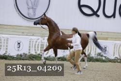 25R13_04209 thumbnail