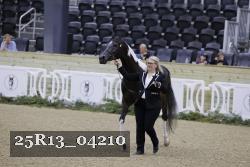 25R13_04210 thumbnail